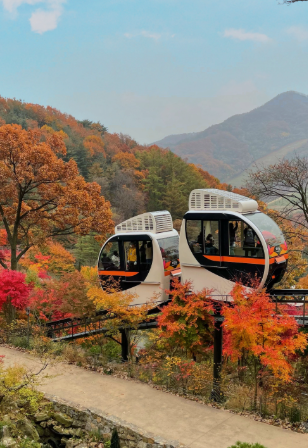 화담숲 모노레일 예약하러 가기