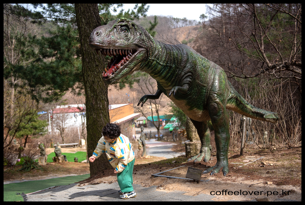 이천 여행 아이와 가볼만한곳 덕평 공룡수목원