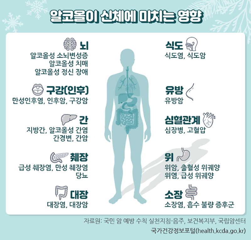 알코올이 건강에 미치는 영향