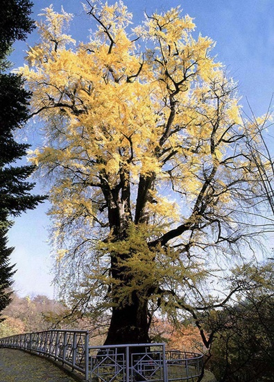 양평 가볼만한곳