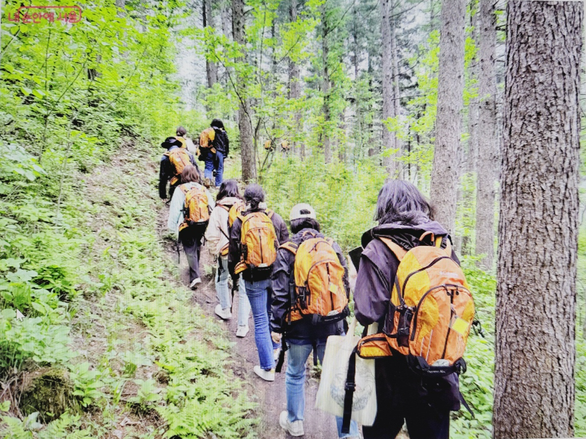 서울 인생디자인