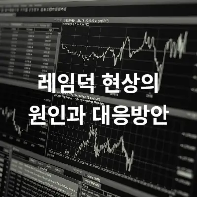 레임덕 현상의 원인과 대응방안