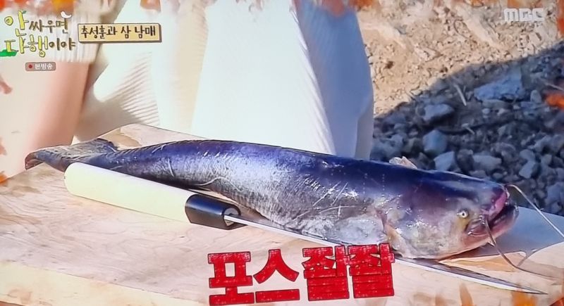 출처-안싸우면-다행이야-62회