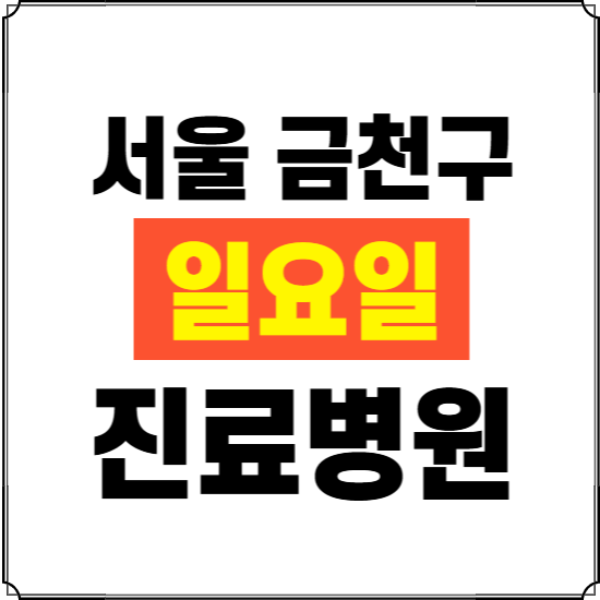 서울 금천구 일요일 진료병원 찾기 ❘ 24시 휴일 주말 응급 야간 심야 문여는 병원