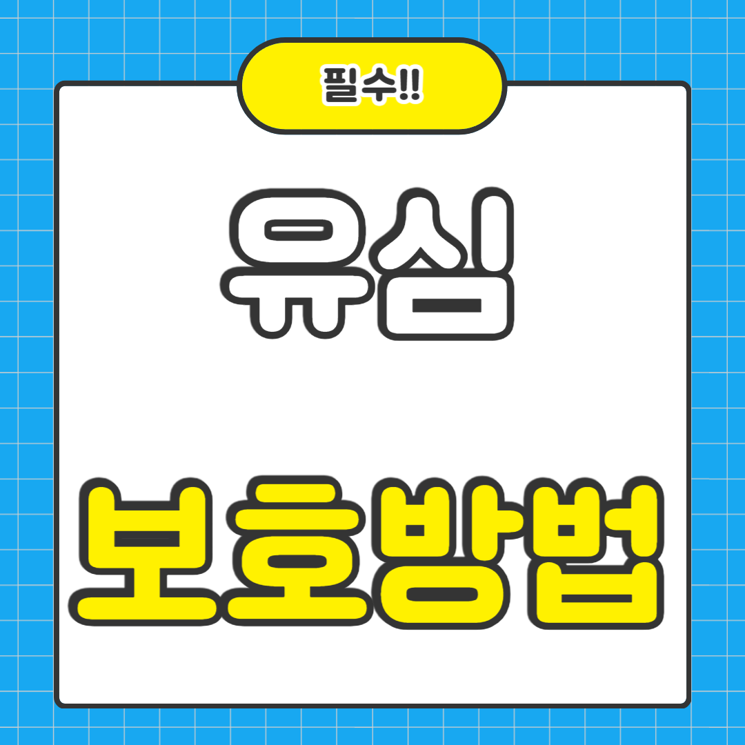 유심 보호 서비스