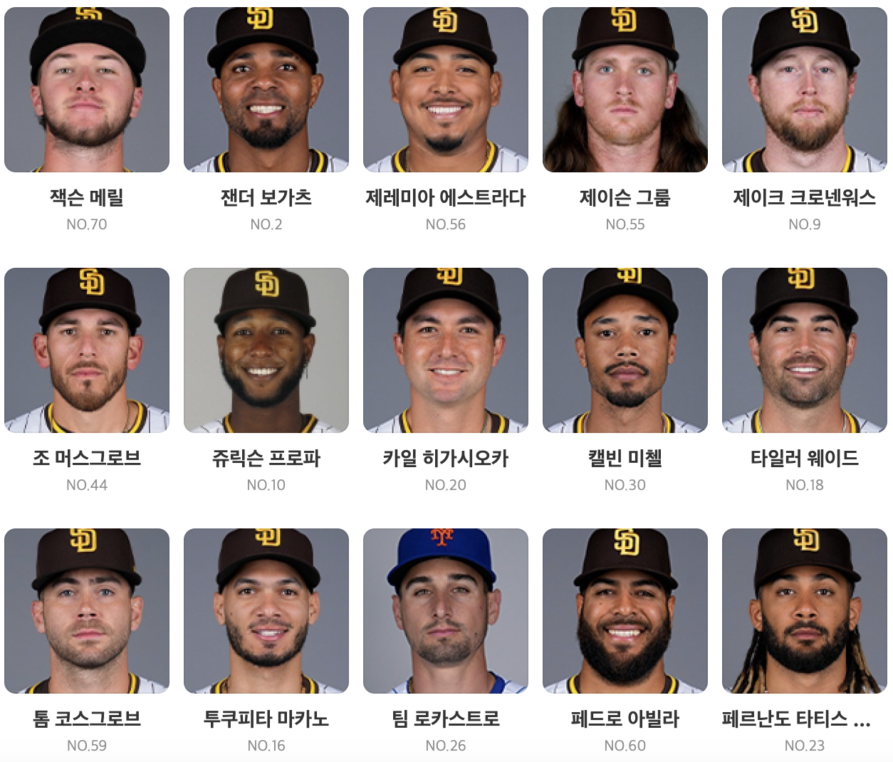 SD 파드리스 선수명단 사진 이미지