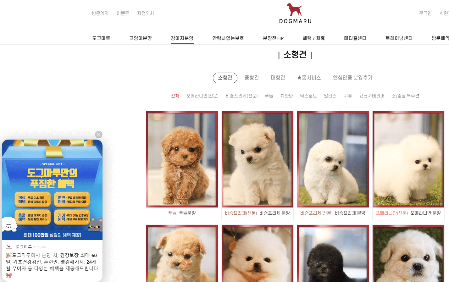 강아지 분양, 입양 사이트