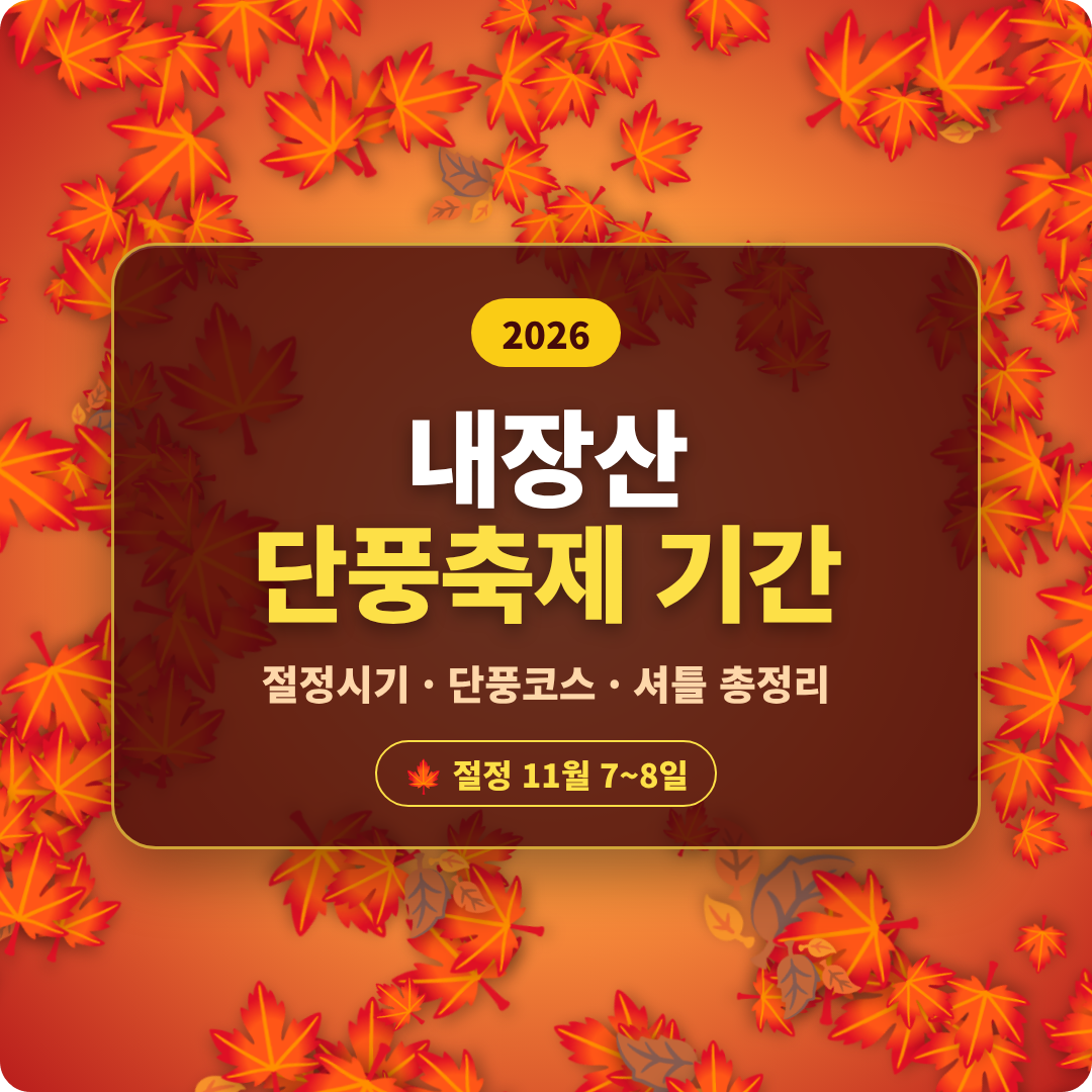 내장산 단풍축제 기간 이미지