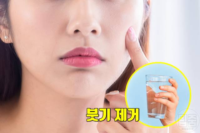 따듯한 물 6잔의 기적,따듯한 물 효능,붓기