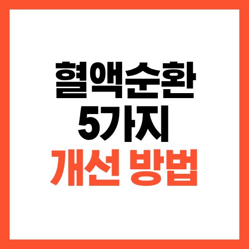 혈액순환 개선 방법, 집에서 바로 할 수 있는 생활 습관 5가지