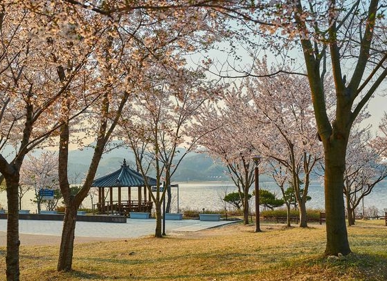 서울 근교 힐링 여행지: 남양주 다산생태공원
