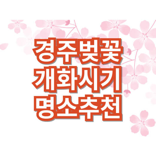 경주-벚꽃-개화시기