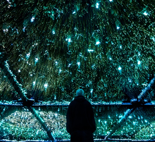 서울라이트 한강 빛섬축제 2025
