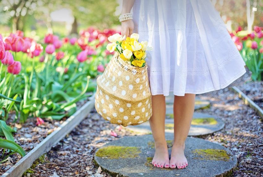 파이어족,은퇴,행복,경제,현실