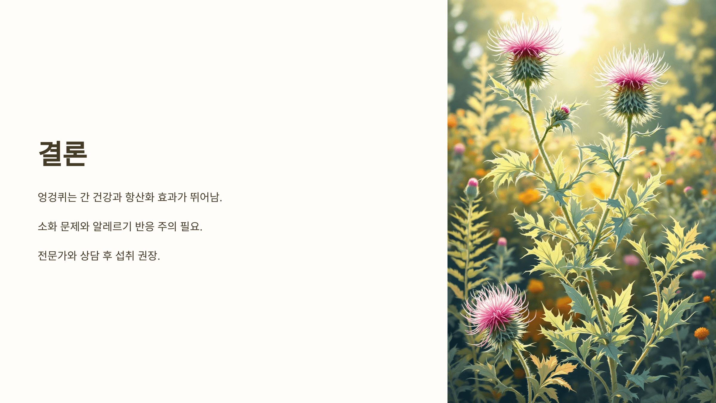 엉겅퀴와 관련된 사진입니다.