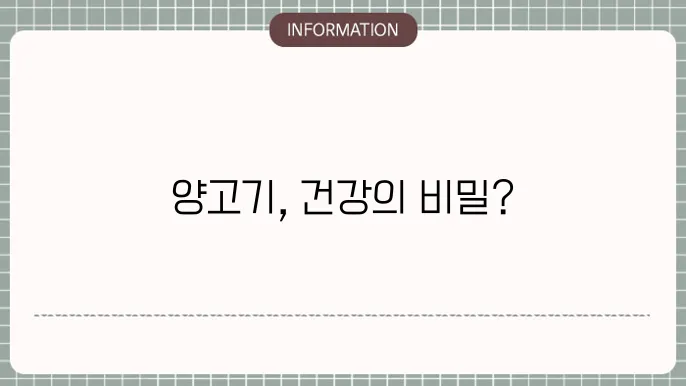 양고기 몸에 좋b을까? 효능 몸보신 부작용