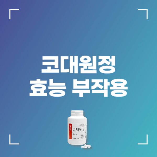 코대원정 부작용 효능 복용법