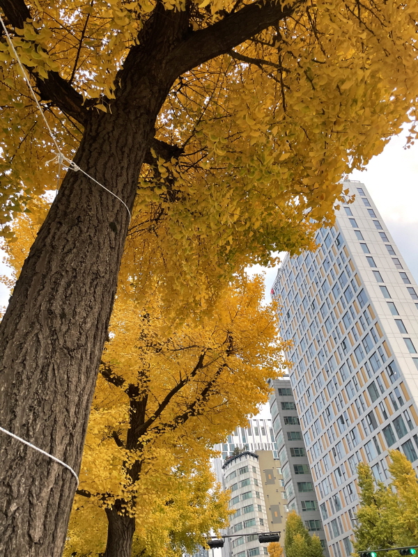 하이그라운드 제빵소