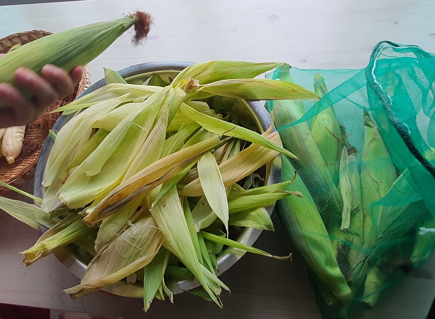 옥수수맛있게삶는법