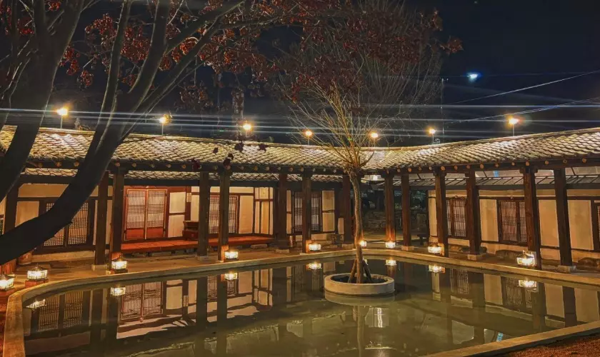 생투-생방송-투데이-리얼-맛집-100-년-한옥-흑돼지-맛집-위치-정보-안내