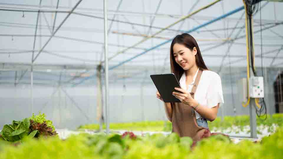 자동화된 온실 시스템의 작동 구조: 통합 제어의 실제 구현 방식