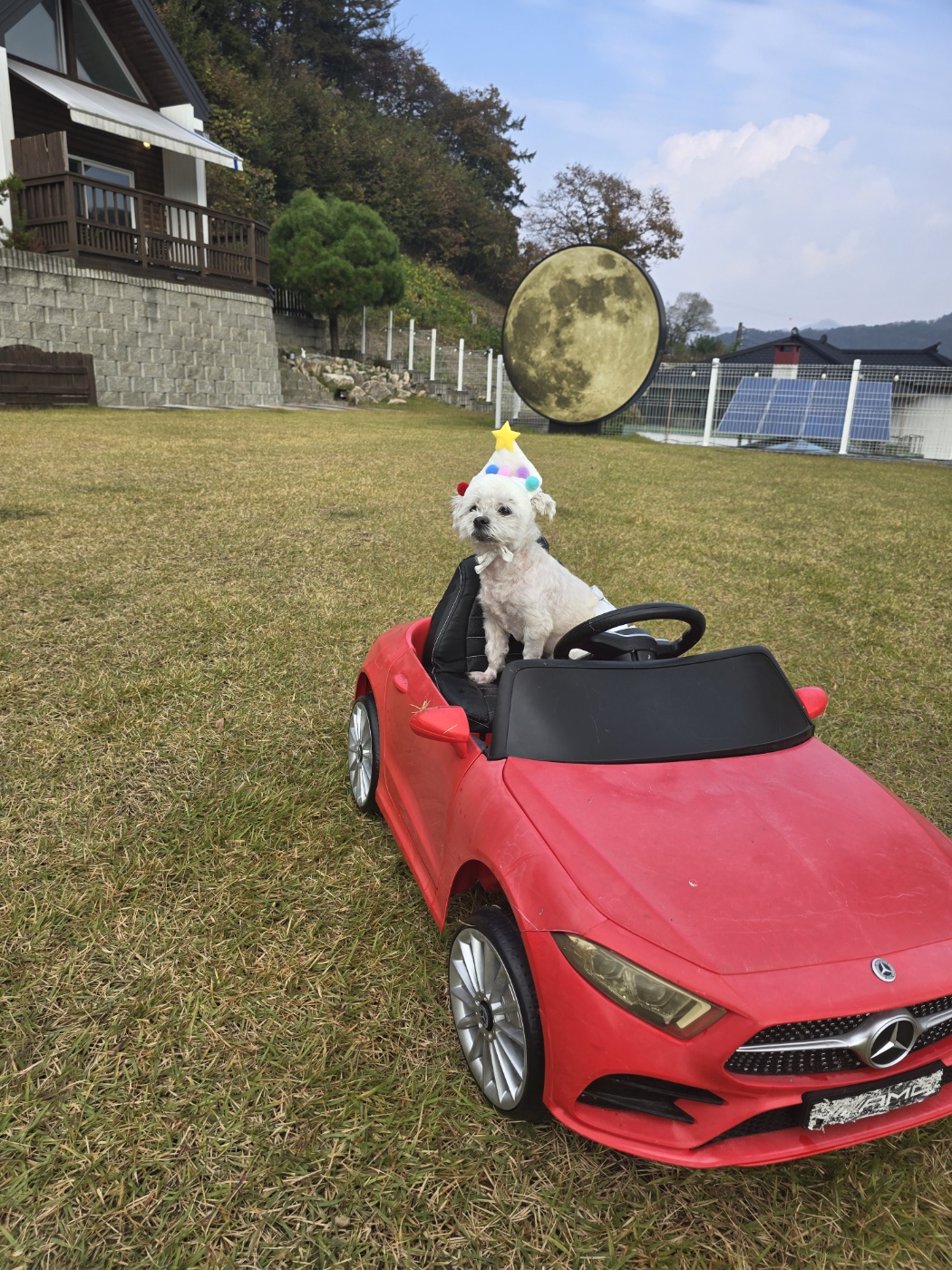 강아지-죽었을-때-위로