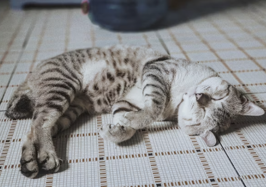 수능 응원 문구