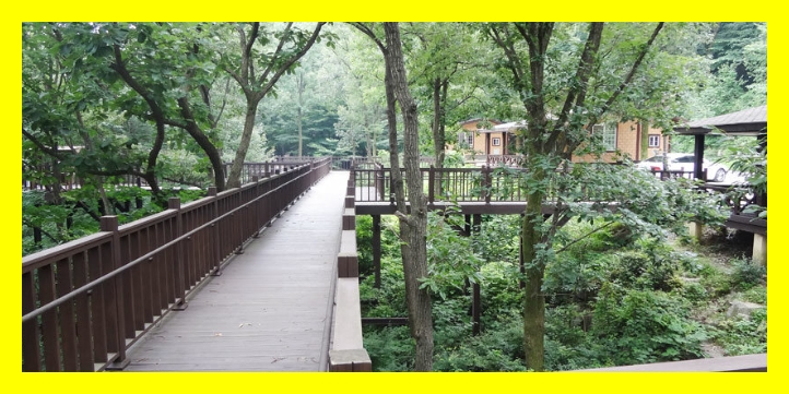 국립자연휴양림 예약&amp;#44; 국립자연휴양림 예약 성수기 추첨&amp;#44; 국립자연휴양림 추첨&amp;#44; 국립자연휴양림 성수기 추첨&amp;#44; 국립자연휴양림 성수기 예약 추첨&amp;#44; 국립자연휴양림 예약 신청방법&amp;#44; 국립자연휴양림 예약통합시스템&amp;#44;신시도 국립자연휴양림&amp;#44; 국립자연휴양림 위약금&amp;#44; 국립 자연휴양림 예약&amp;#44; 국립 자연휴양림 성수기 예약&amp;#44; 국립 자연휴양림 성수기 추첨&amp;#44; 국립 자연휴양림 성수기 추첨 예약&amp;#44; 국립 자연휴양림 예약 성수기 추첨&amp;#44; 국립 자연휴양림 예약 신청방법&amp;#44; 국립 자연휴양림 성수기 추첨 신청방법&amp;#44; 국립 자연휴양림 취소 수수료&amp;#44; 국립 자연휴양림 예약 취소 수수료&amp;#44; 국립 자연휴양림 장애인 할인&amp;#44; 국립자연휴양림 성수기 예약일정&amp;#44; 국립 자연휴양림 성수기 예약일정&amp;#44; 신시도 국립 자연휴양림&amp;#44; 국립 자연휴양림 비용&amp;#44; 국립자연휴양림 신청방법&amp;#44; 국립자연휴양림 예약취소방법&amp;#44; 국립자연휴양림 이용요금&amp;#44; 국립 자연휴양림 주차장&amp;#44; 국립자연휴양림 요금정보