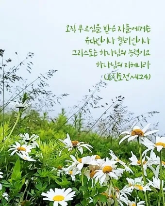 고린도전서 6장 19절 묵상 - 너희 몸은 너희가 하나님께로부터 받은 바 너희 가운데 계신 성령의 전인 줄을 알지 못하느냐_24
