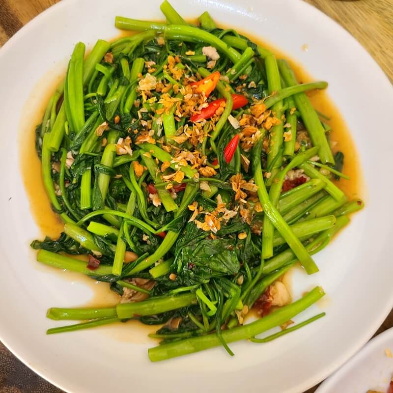 모닝글로리-한접시