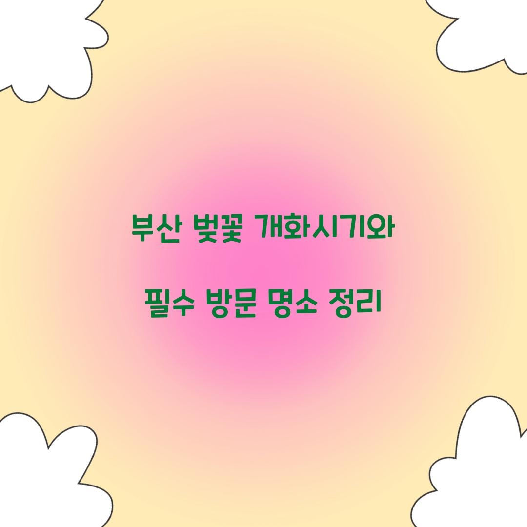 부산 벚꽃 개화시기