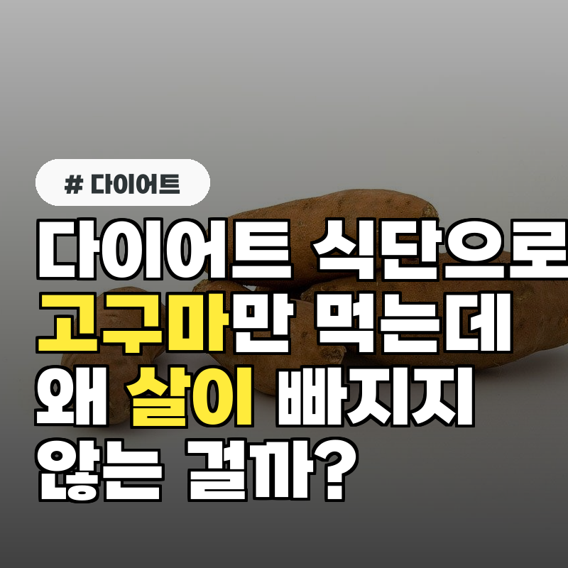 다이어트 식단으로 고구마만 먹는데 왜 살이 빠지지 않는 걸까