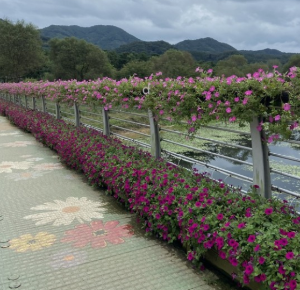 5월에 인기좋은 전국축제