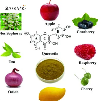 퀘르세틴 효능부족 현상복용방법 시기부작용많은 음식적정량 안내_7