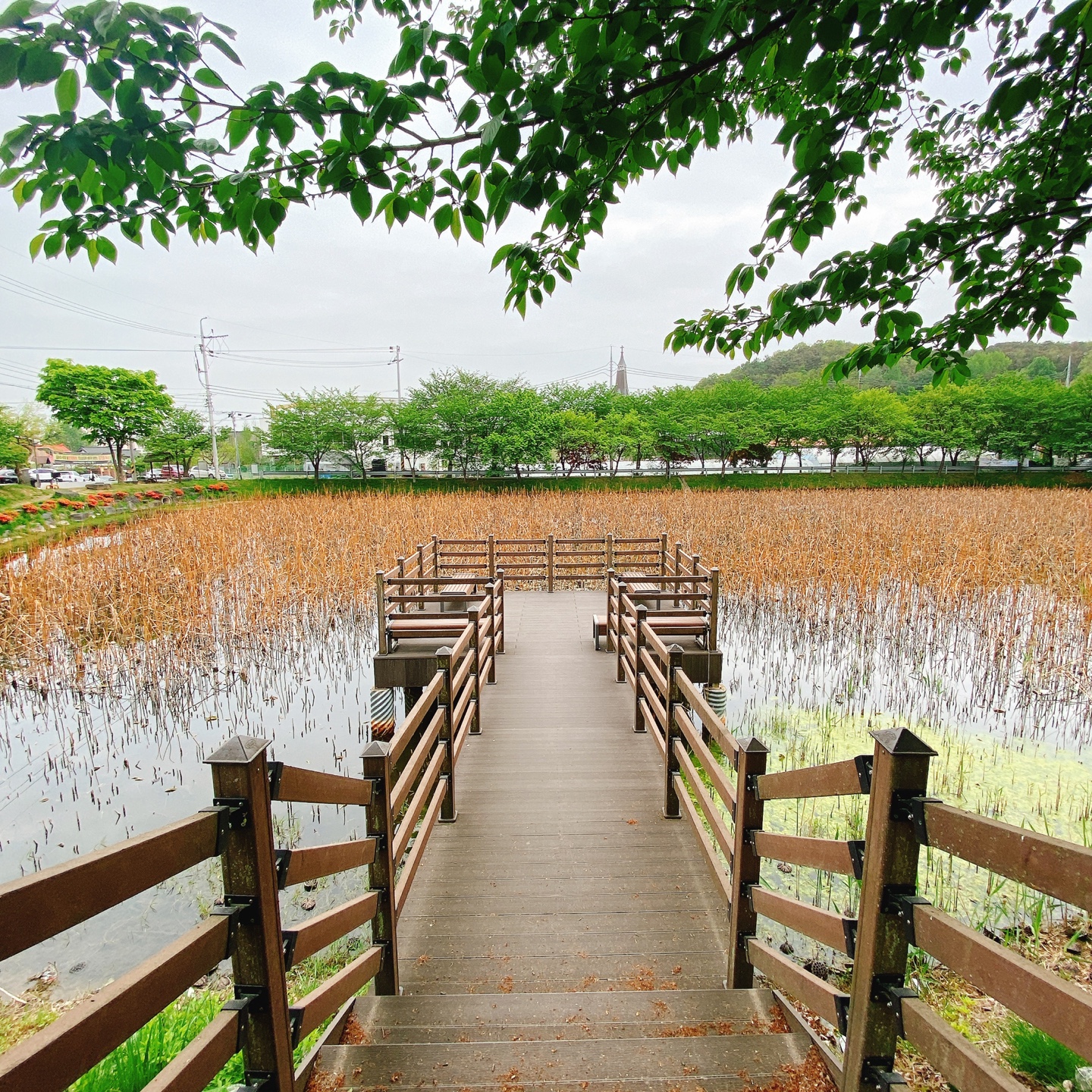 충북 청주 부모산 주봉마을 주봉저수지 한옥 북카페 인문아카이브양림 후마니타스