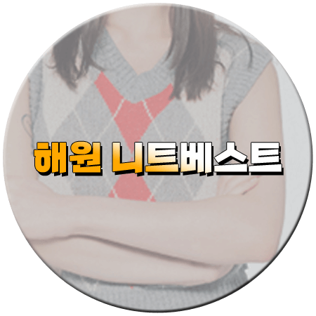 워크돌 해원 니트조끼