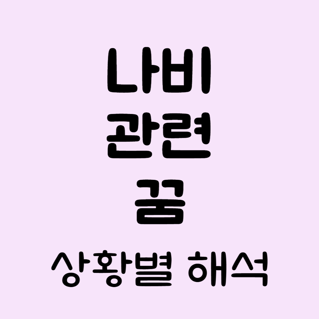나비꿈해몽