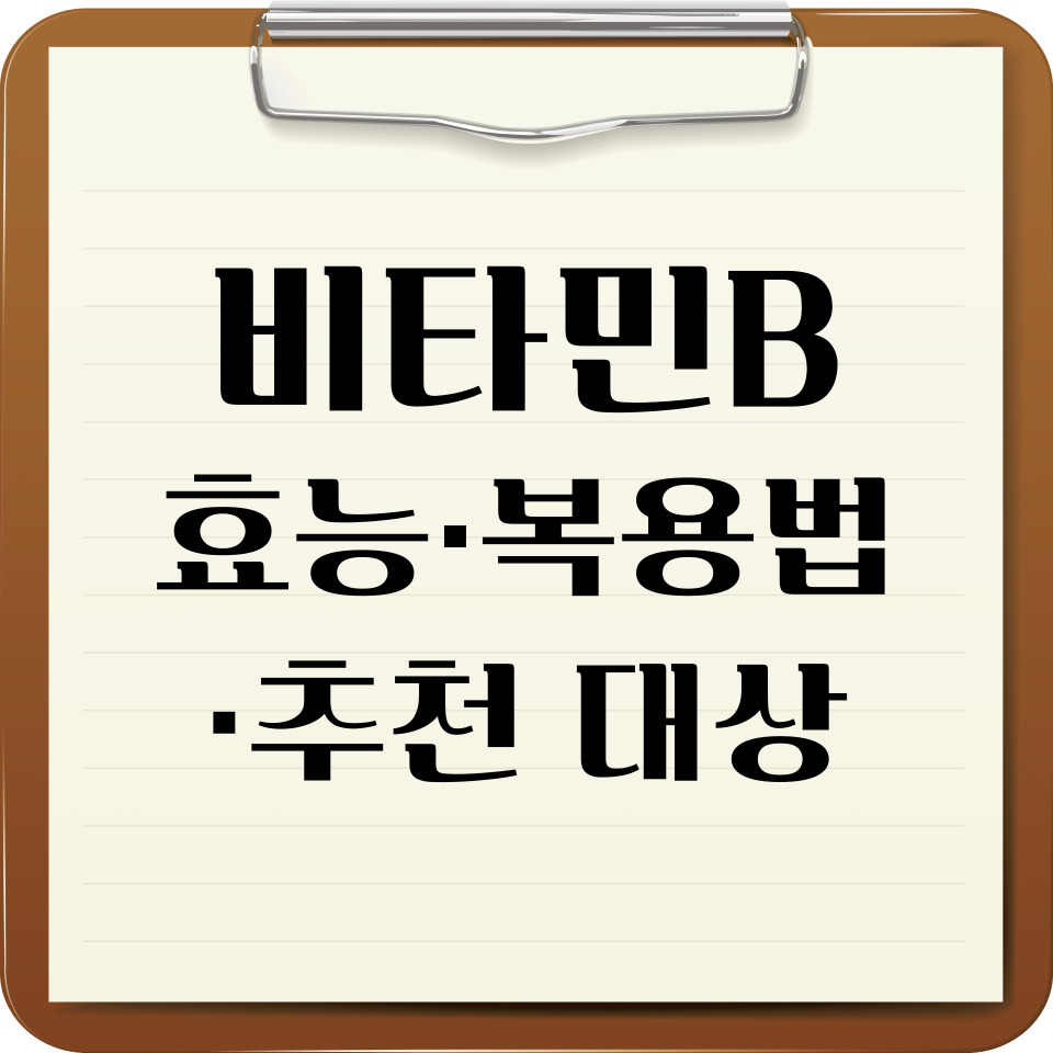 비타민B군 효능·복용법·추천 대상