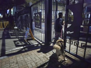 대전 오월드 늑대 늑구 탈출 원인 암컷 드론 생포