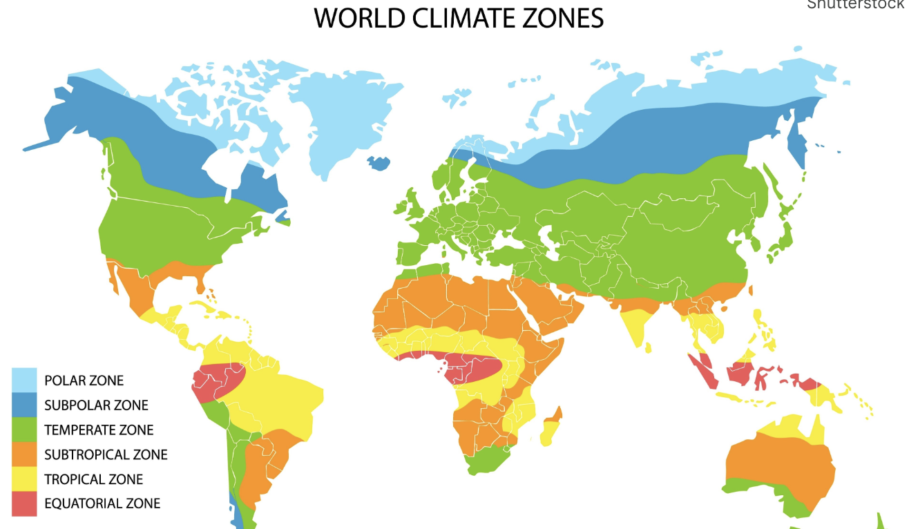 기후의 구분과 주요 기후대별 특징: 지구가 그려낸 거대한 삶의 지도