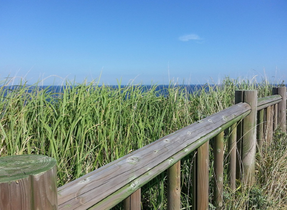 전남 걷기 여행 추천 둘레길