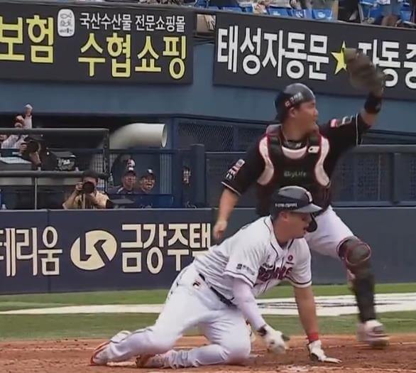 로하스 홈보살