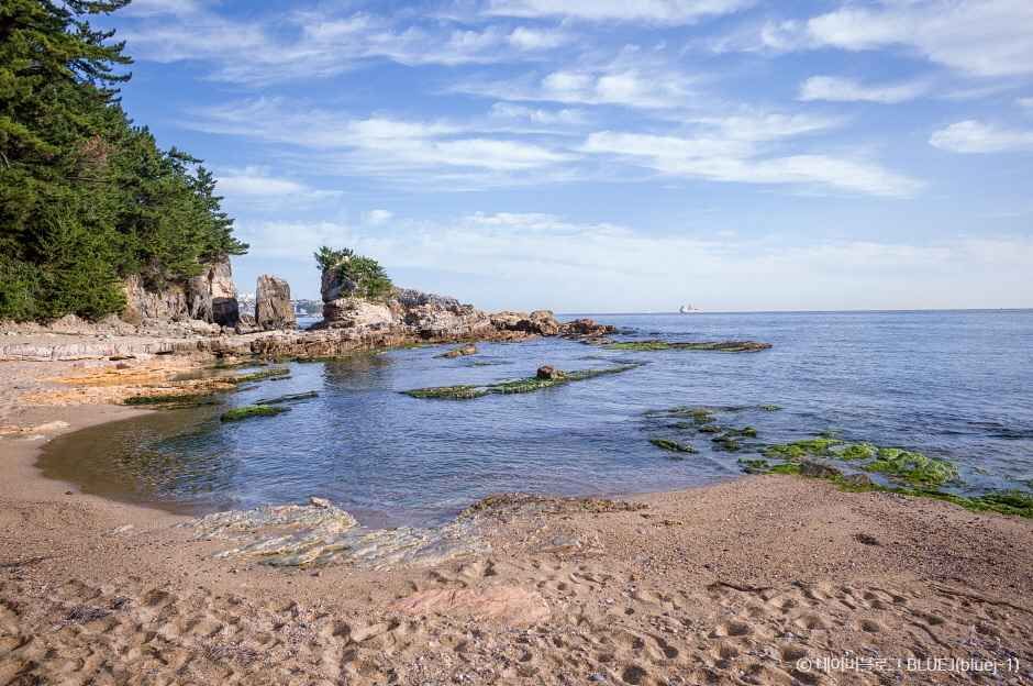 동해 고불개해변