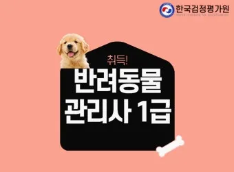 반려동물관리사 취득비용 온라인강의 취업처 은퇴 후 반려업 진입법_20