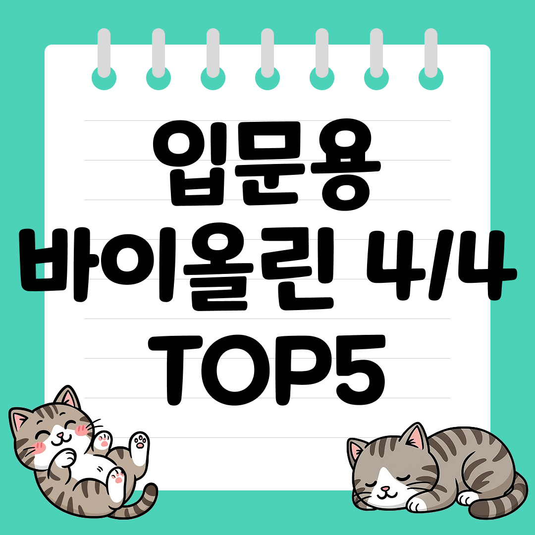 체격이 큰 사람들을 위한 입문용 바이올린 4/4 추천 순위 TOP5