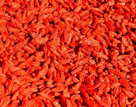 구기자(枸杞子)3