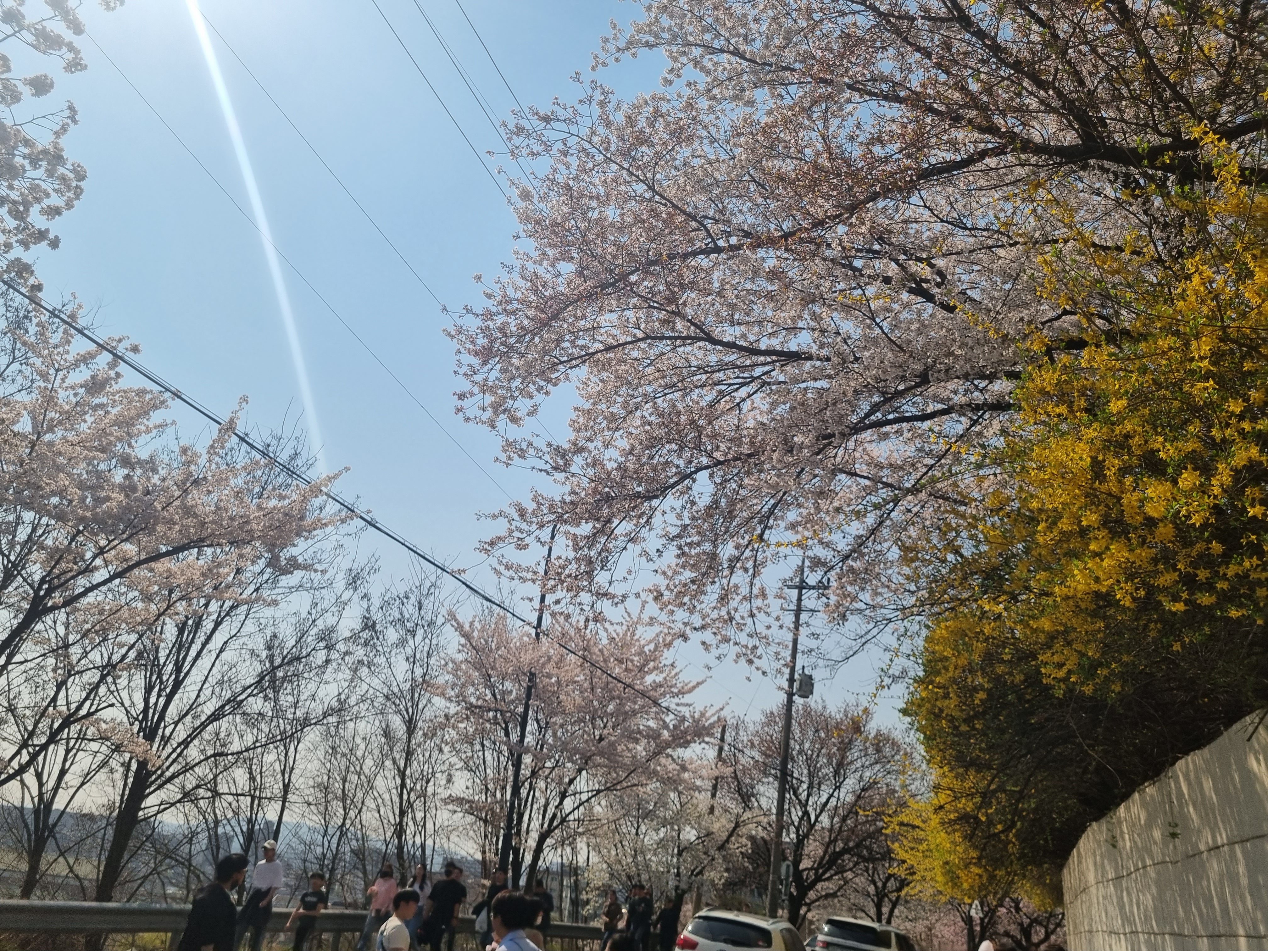 수원에 연인가 가기 좋은 곳