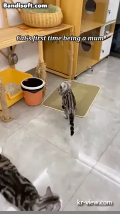 img.webp?credential=yqXZFxpELC7KVnFOS48ylbz2pIh7yKj8&expires=1767193199&allow_ip=&allow_referer=&signature=vHI8dne7RR0uq5%2BvP74whsPU2d0%3D