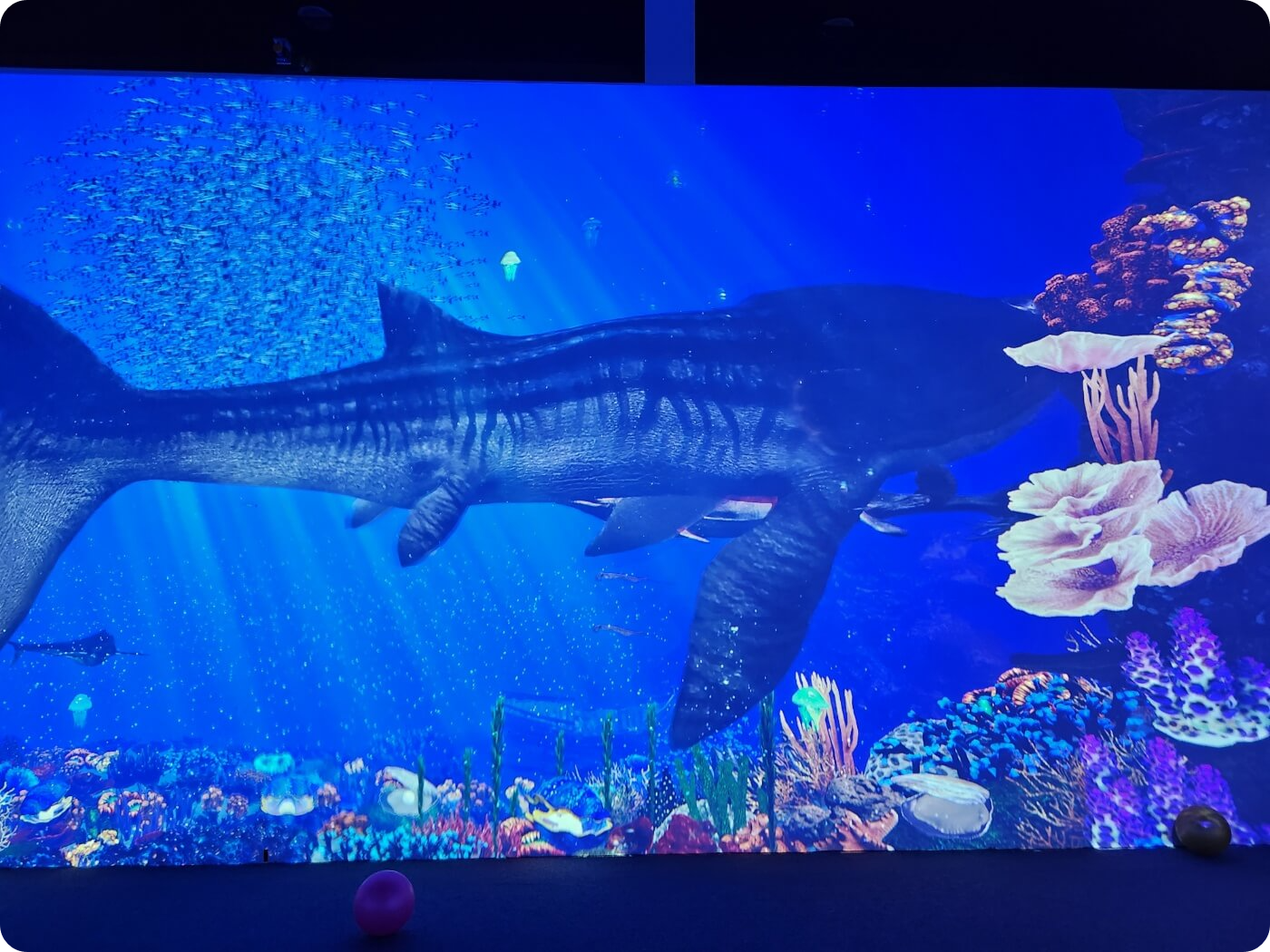 바닷속 공룡 영상