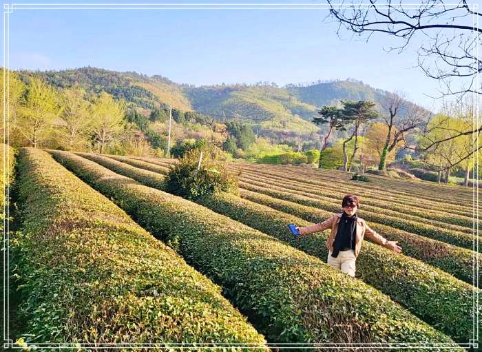 생방송오늘저녁 대한민국 보물 정원 전남 보성 여행 추천